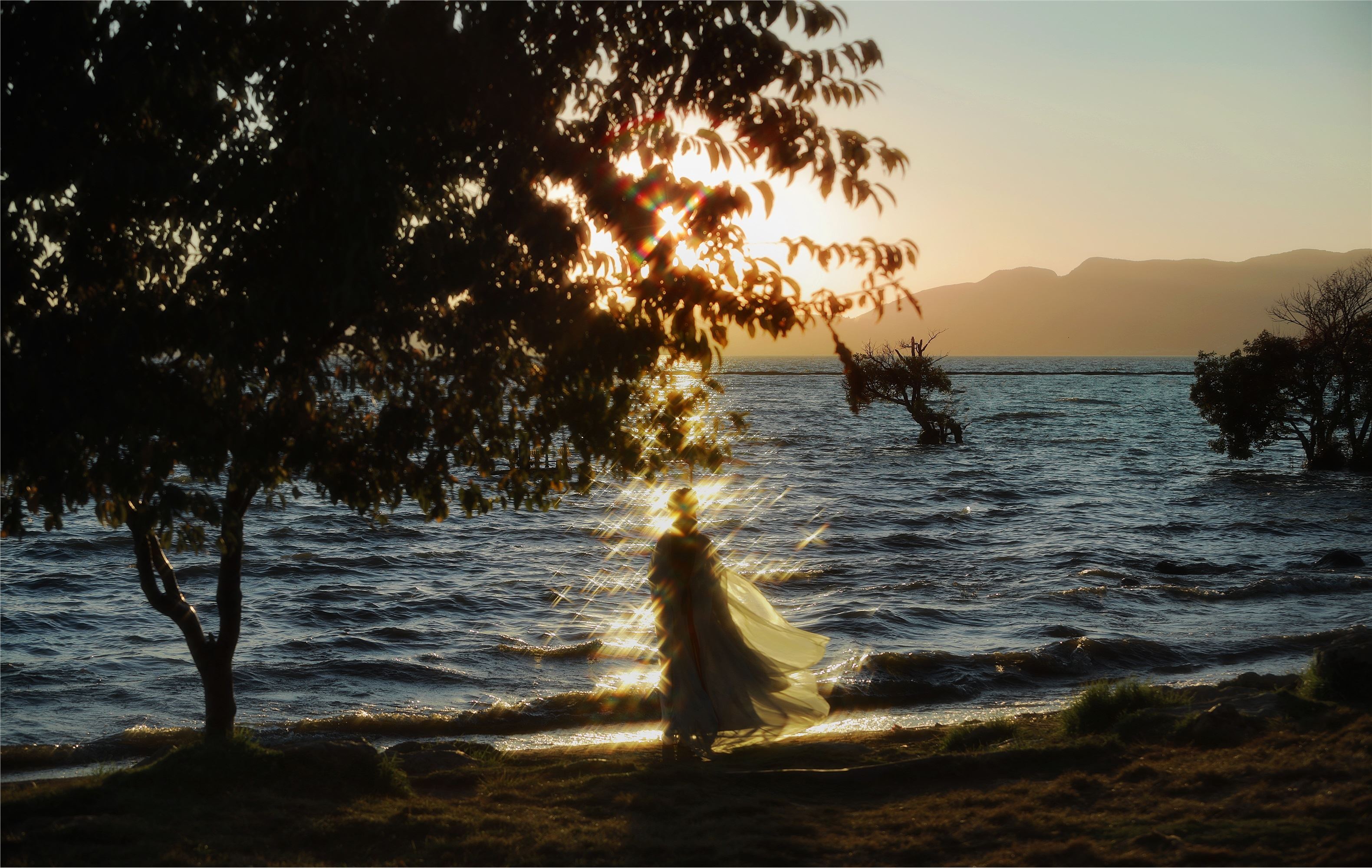 YITUYU艺图语 2025.01.24 要一个黄昏，满是风 南瓜